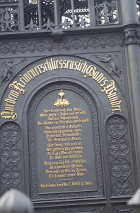 IMGP6295